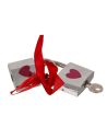 Lot de 2 Cadenas Serrures de l'Amour " Love Lock"  Livré avec 1 Clé