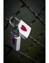 Lot de 2 Cadenas Serrures de l'Amour " Love Lock"  Livré avec 1 Clé