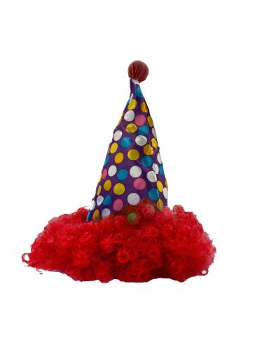 Chapeau de Clown Pointu avec Perruque Assortie / 3 Couleurs Disponibles