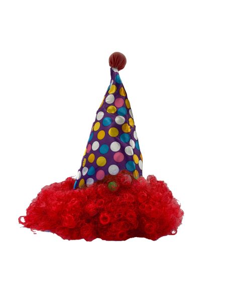 Chapeau de Clown Pointu avec Perruque Assortie / 3 Couleurs Disponibles