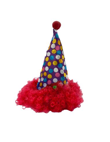 Chapeau de Clown Pointu avec Perruque Assortie / 3 Couleurs Disponibles