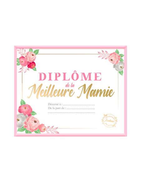 Cadre Diplôme de la Meilleure Mamie - Dimensions : 25,5 x 21 x 1,5 cm