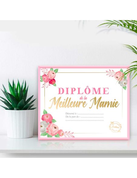 Cadre Diplôme de la Meilleure Mamie - Dimensions : 25,5 x 21 x 1,5 cm
