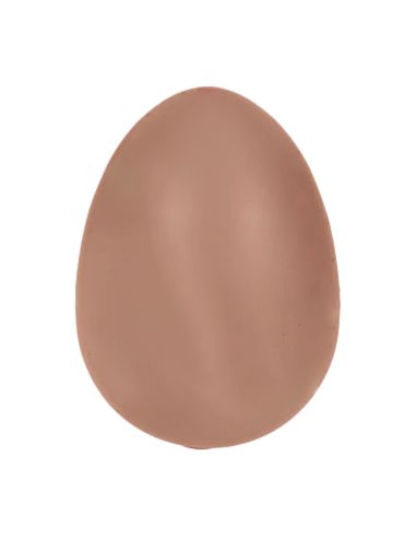 Oeuf Magique de Dinosaure à Faire Eclore  - Petit Modèle - Dimensions : 4 x 4 x 6 cm