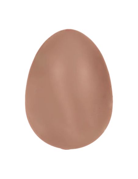 Oeuf Magique de Dinosaure à Faire Eclore  - Petit Modèle - Dimensions : 4 x 4 x 6 cm