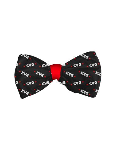 Accessoires Enterrement Vie de Garçon - Pack "EVG PARTY"