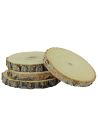Lot 4 Dessous de Verre Rondin de Bois / Bouleau Naturel / Diamètres : Entre 10 et 11 cm