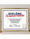 Cadre Diplôme du Meilleur Bouliste - Dimensions :  25,5 x 21 x 1,5 cm