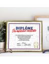 Cadre Diplôme du Meilleur Bouliste - Dimensions :  25,5 x 21 x 1,5 cm