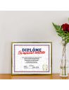 Cadre Diplôme du Meilleur Bouliste - Dimensions :  25,5 x 21 x 1,5 cm