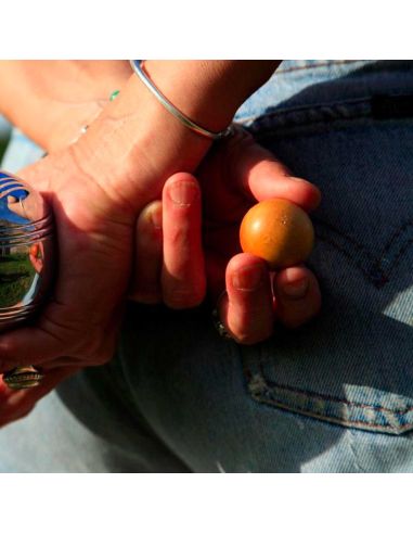 Lot de 3 Cochonnets de Pétanque en Bois