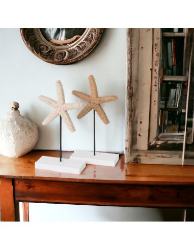 2 Décorations Étoile de mer - Dimensions : 13 x 5,50 x 25 cm