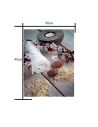 Lot de 3 Tableaux Photo impression Zen - Dimension : 40 x 50 cm