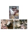 Lot de 3 Tableaux Photo impression Zen - Dimension : 40 x 50 cm