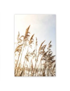 Photographie sur Toile Scène nature 1 -  Dimensions : 60 x 40 cm