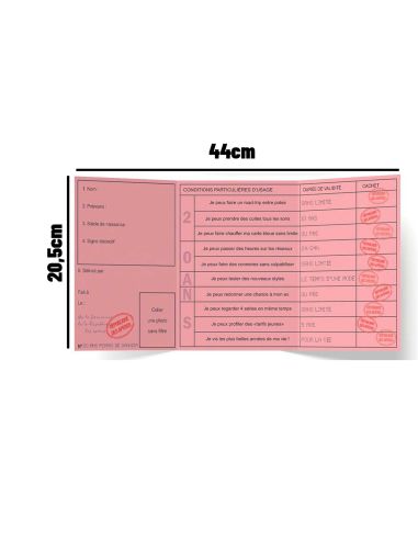 Faux Permis Humoristique 20 ans "Permis de Grandir" - Dimensions : 44 x 20,5 cm