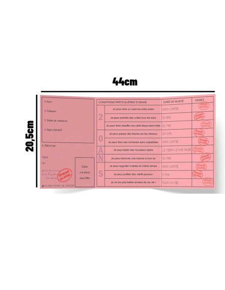 Faux Permis Humoristique 20 ans "Permis de Grandir" - Dimensions : 44 x 20,5 cm