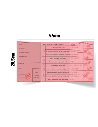Faux Permis Humoristique 50 ans "Permis du Demi-Siècle" - Dimensions : 44 x 20,5 cm