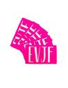 Lots de 5 Brassards "Team EVJF" Enterrement Vie de Jeune Fille - Taille Unique