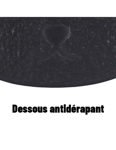 Tapis Antidérapant pour animaux - Modèle Chien ou Chat