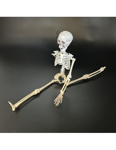 Décoration Halloween - Squelette à Suspendre en Plastique - Dimension : 40 cm
