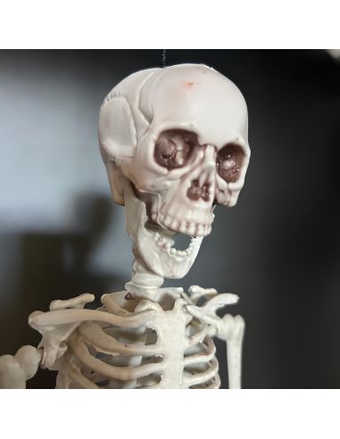 Décoration Halloween - Squelette à Suspendre en Plastique - Dimension : 40 cm