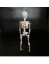Décoration Halloween - Squelette à Suspendre en Plastique - Dimension : 40 cm