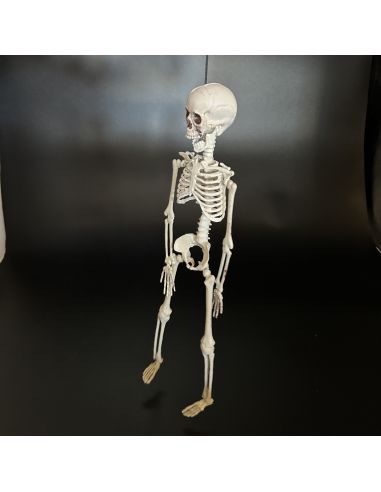 Décoration Halloween - Squelette à Suspendre en Plastique - Dimension : 40 cm