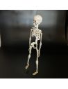 Décoration Halloween - Squelette à Suspendre en Plastique - Dimension : 40 cm