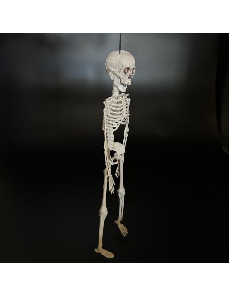 Décoration Halloween - Squelette à Suspendre en Plastique - Dimension : 40 cm