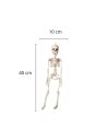 Décoration Halloween - Squelette à Suspendre en Plastique - Dimension : 40 cm
