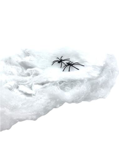 Toile d'Araignée avec 4 Araignées en Plastique