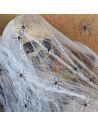 Toile d'Araignée avec 4 Araignées en Plastique