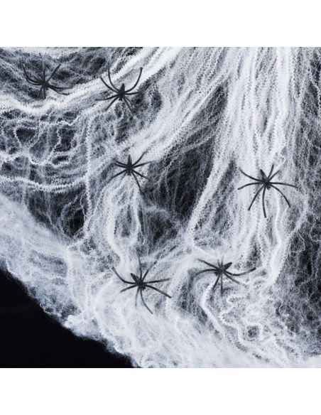 Toile d'Araignée avec 4 Araignées en Plastique
