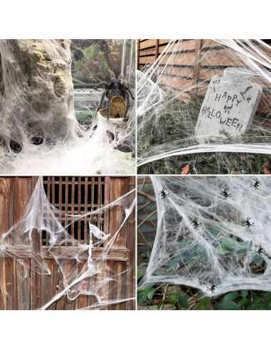 Toile d'Araignée avec 4 Araignées en Plastique