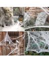 Toile d'Araignée avec 4 Araignées en Plastique