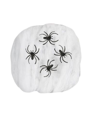 Toile d'Araignée avec 4 Araignées en Plastique