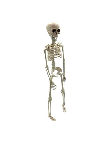 Décoration Halloween - Squelette à Suspendre en Plastique - Dimension : 40 cm