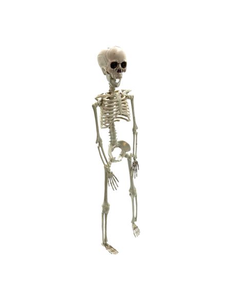 Décoration Halloween - Squelette à Suspendre en Plastique - Dimension : 40 cm