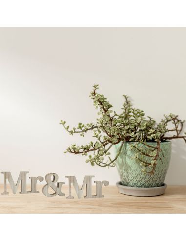 Mot à Poser 3D en Bois "Mr & Mme" - Dimensions : 38 x 6,5 x 1,2 cm - 3 Déclinaisons Proposées