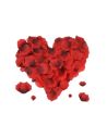 Lot de 100 Pétales de roses rouges en tissu