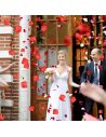 Lot de 100 Pétales de roses rouges en tissu