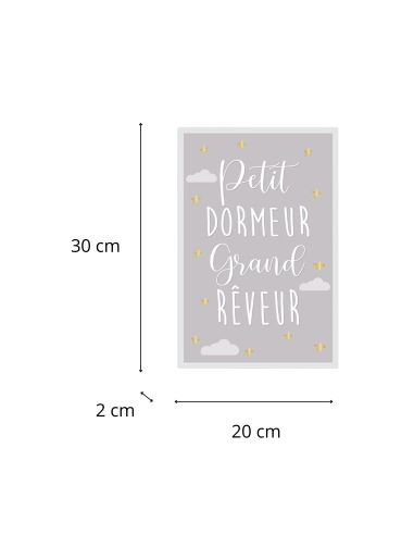 Toile Décorative Murale Petit Dormeur Grand Rêveur - Dimensions : 30 x 20 x 2 cm