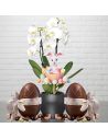 Pic de décoration de Pâques " Lapin blanc et Oeufs Multicolores " - Dimensions : 13,6 x 13,8 cm