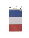Guirlande de Fanions France en Papier 5m – Décoration Supporter Tricolore avec Ballons de Football pour Soirées et Événements Sp