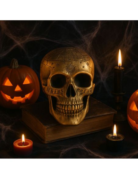 Crâne de Squelette Décoré Doré Halloween - Dimension : 20 x 14 x 14 cm