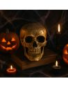 Crâne de Squelette Décoré Doré Halloween - Dimension : 20 x 14 x 14 cm