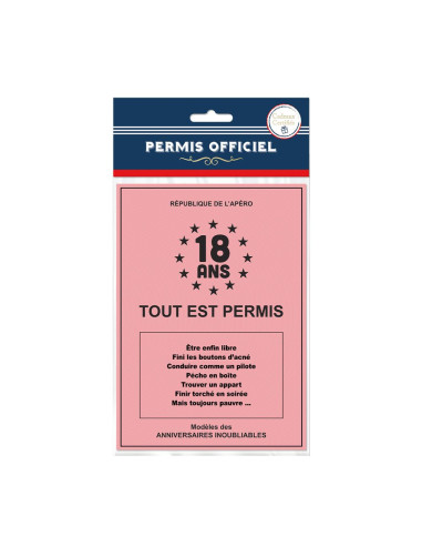 Faux Permis Humoristique " 18 ans Permis de Fêter sa Majorité" - Dimensions : 44 x 20,5 cm