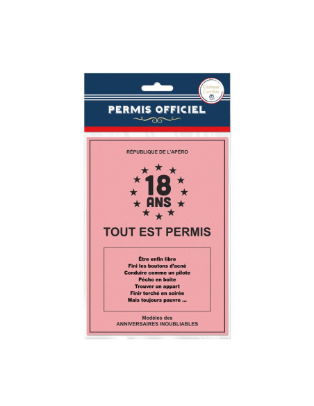 Faux Permis Humoristique " 18 ans Permis de Fêter sa Majorité" - Dimensions : 44 x 20,5 cm