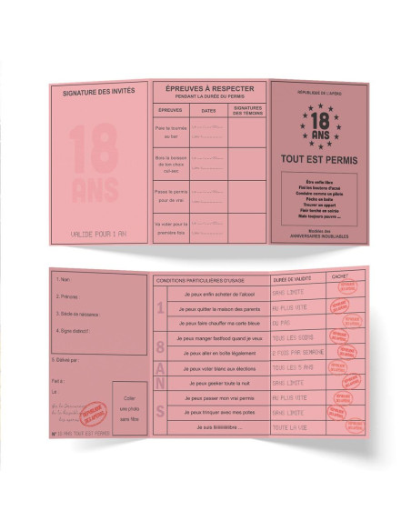 Faux Permis Humoristique " 18 ans Permis de Fêter sa Majorité" - Dimensions : 44 x 20,5 cm